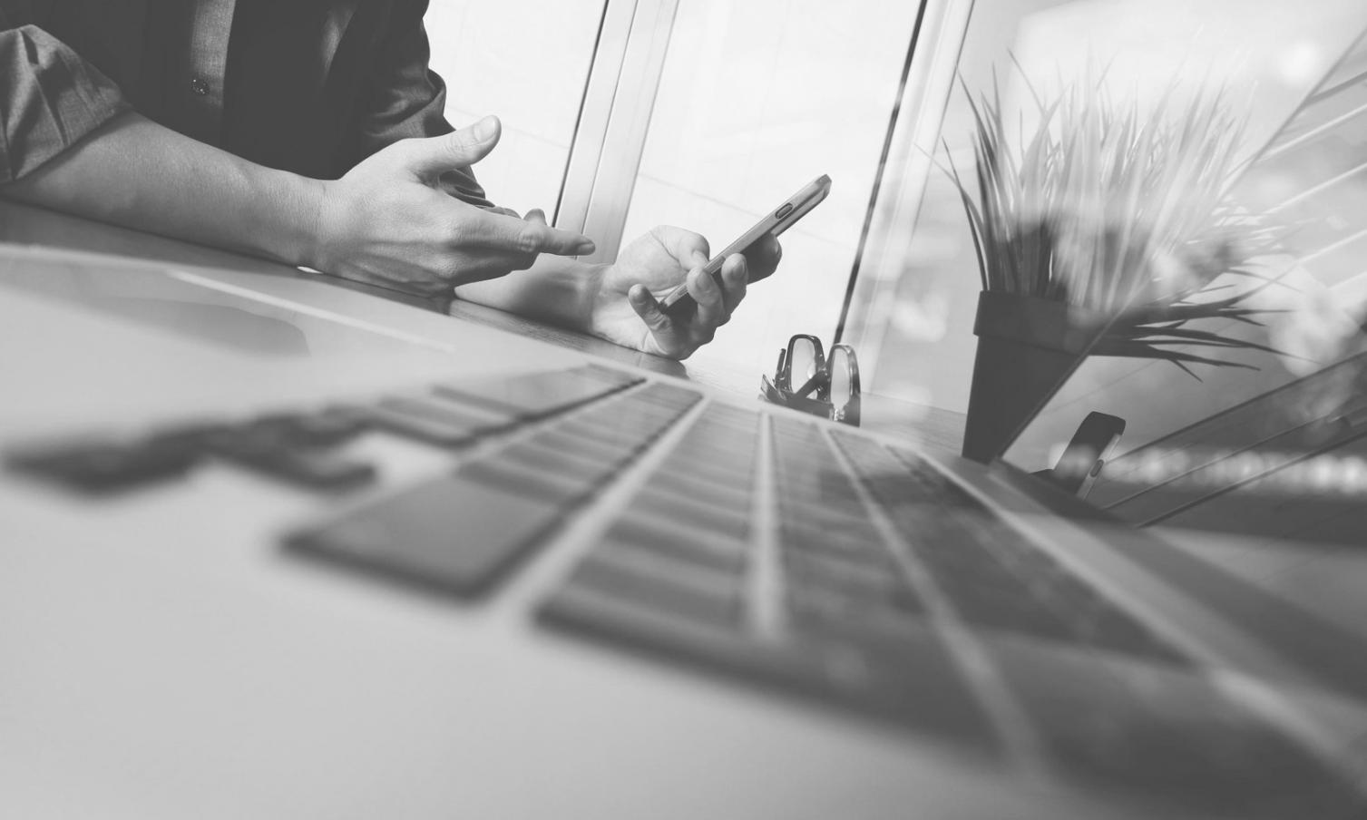 Teilnehmer analysieren Website-Strukturen gemeinsam